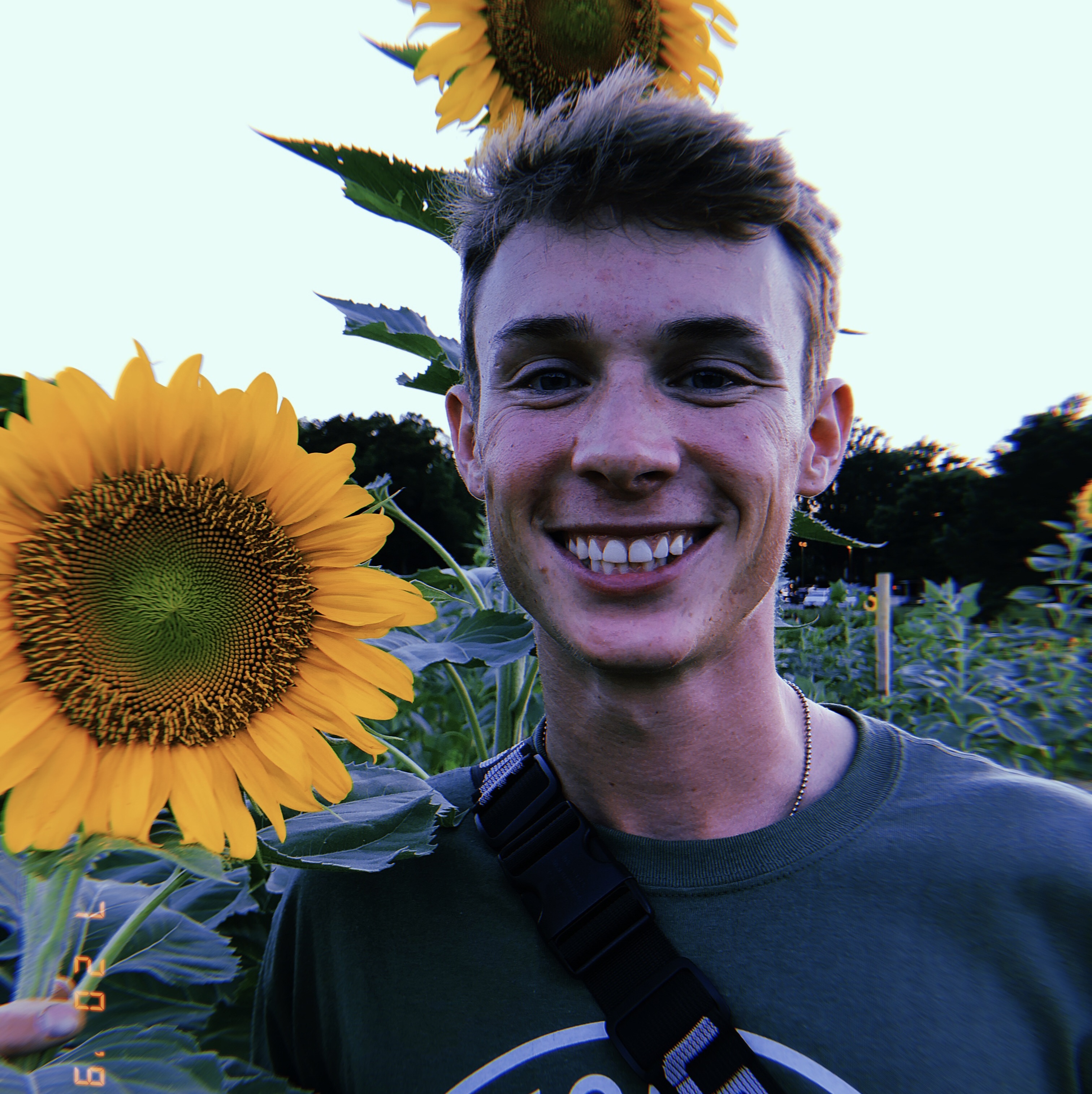 Jeff Lakes in a sunflower field.